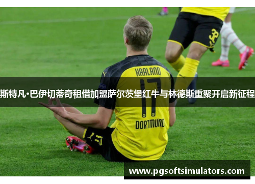 斯特凡·巴伊切蒂奇租借加盟萨尔茨堡红牛与林德斯重聚开启新征程